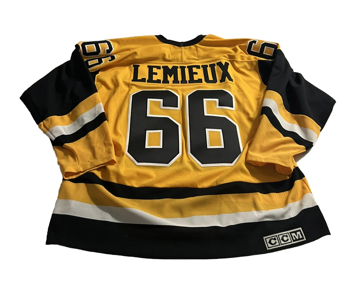 Mario lemieux jersey best sale number
