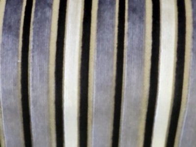 ''PASSION'' DESIGNER FABRICS