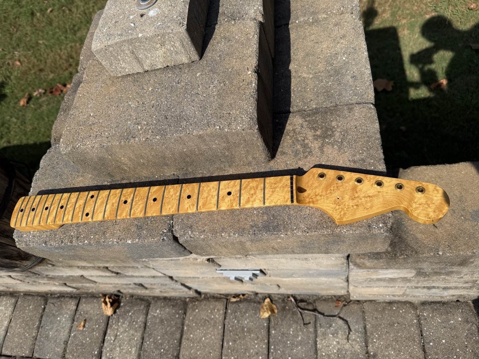 Warmoth Stratocaster Electric Guitar Neck Birdseye Maple Amber Tint