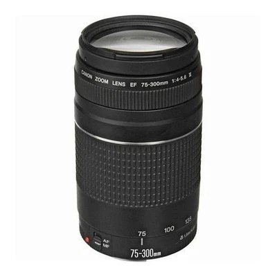 Canon EF 75-300mm f/4-5,6 Objectif Zoom Pour Appareils Photo EOS - Photo 1/4