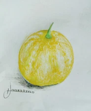 Lemon Cucumber 50 Vegetable Seeds - Cucumis sativus Non-GMO Heirloom Crisp Fruit