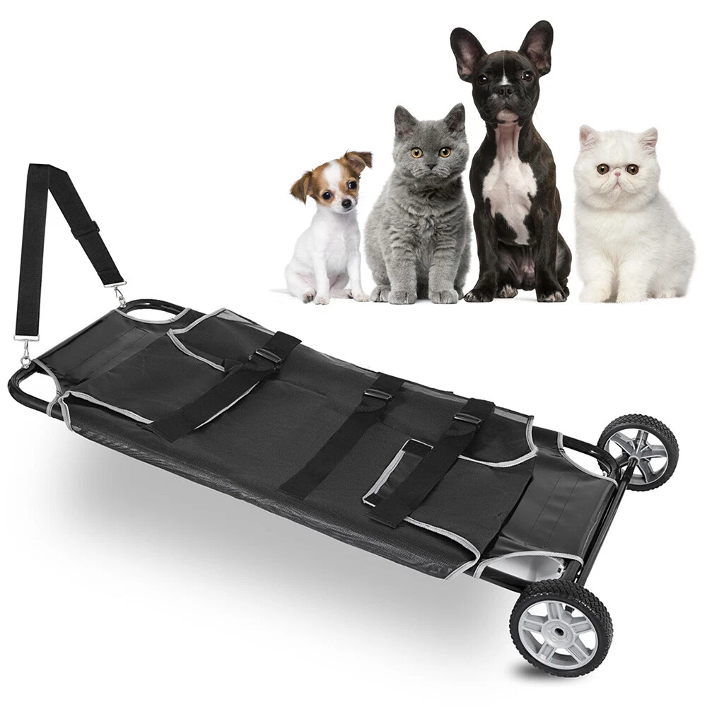 Emergency cat carrier cheap