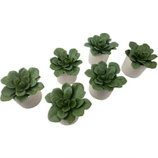 Artificial Dudleya Succulent by Project 62 In White Pot 4.5" x 4"- LOT OF 6 New 