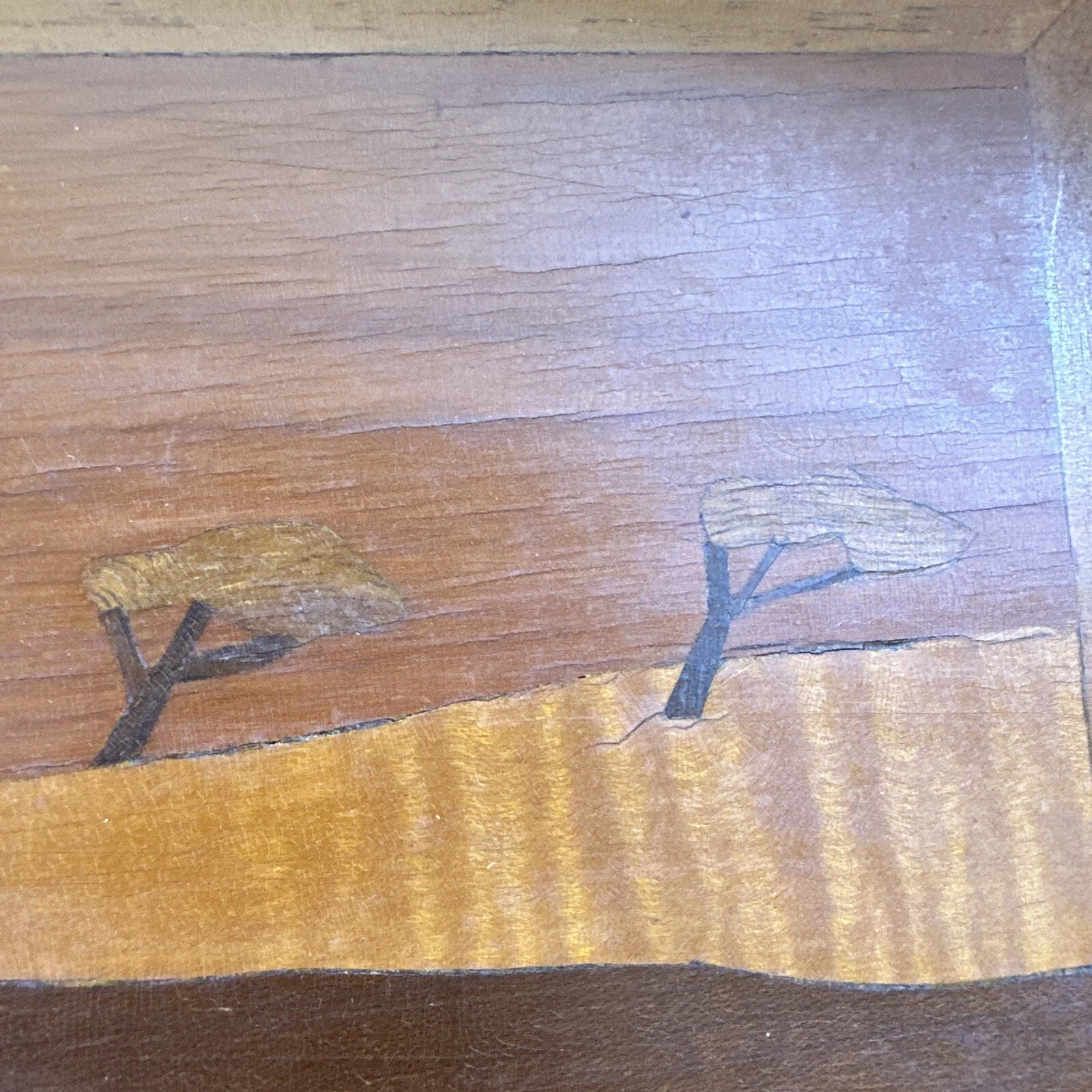 Picture 10 of 21
