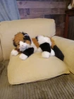 VINTAGE 1995 TY Classic Beanie CALICO CAT "MAGGIE" 15" Plush • Laying Position