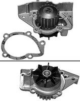 INA Wasserpumpe U.A. FüR CitroËN, Fiat, Hyundai, Lada, Lancia, Peugeot, Rover