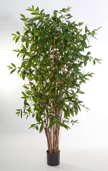Artplants KüNstliche Dracaena Surculosa, 1840 BläTter, GrüN, 240Cm-image