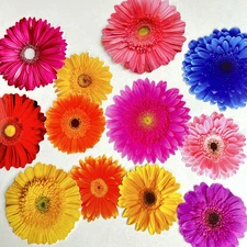 Paper House Gerber Daisy Flower Large Die Cut Cardstock Stickers Journal Collage