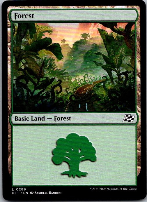 Forest (0289) 289 Land Aetherdrift Magic: The Gathering Lightly Played