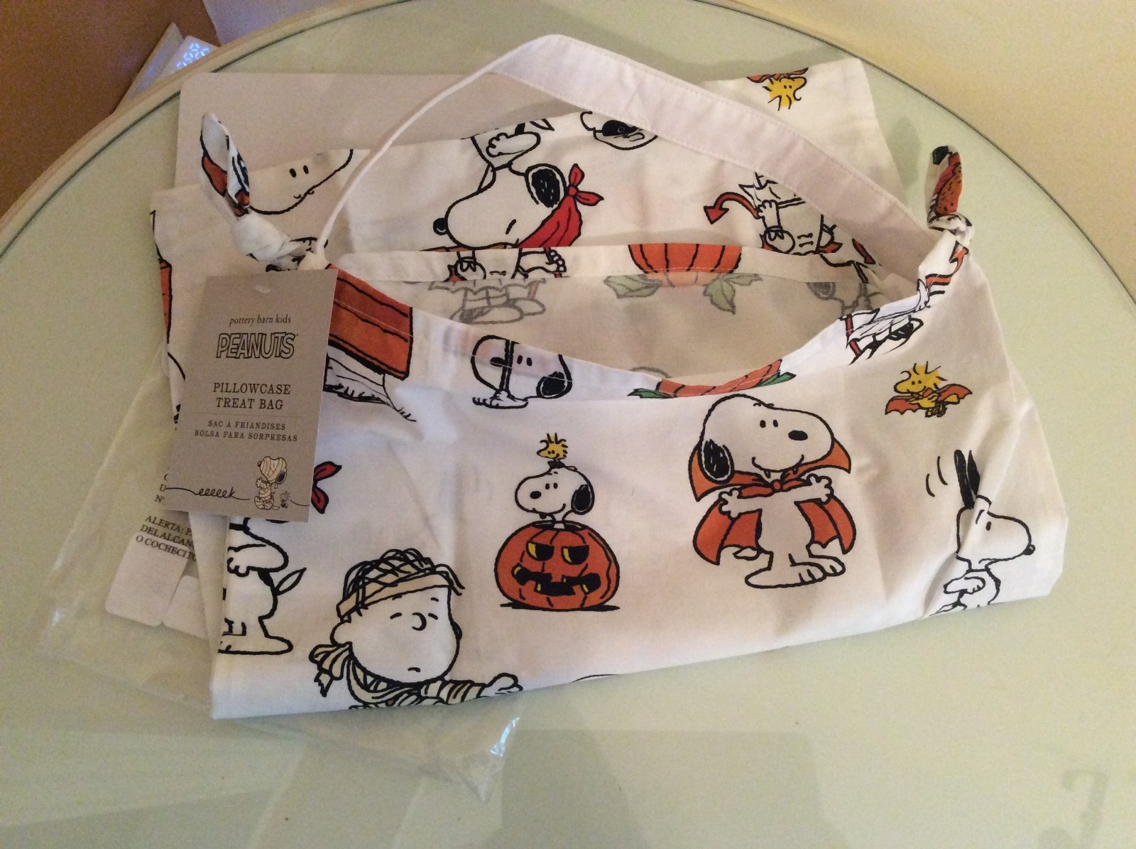 Snoopy Disney Pottery barn Halloween Pillowcase Treat bag holiday gift school eBay