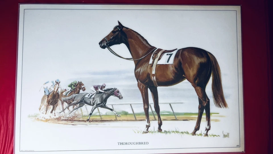 复古 Hedwin 马座垫 (5 混合) Savitt 厨房 — 第 3/4 张图片