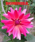 Bild 20 von 24