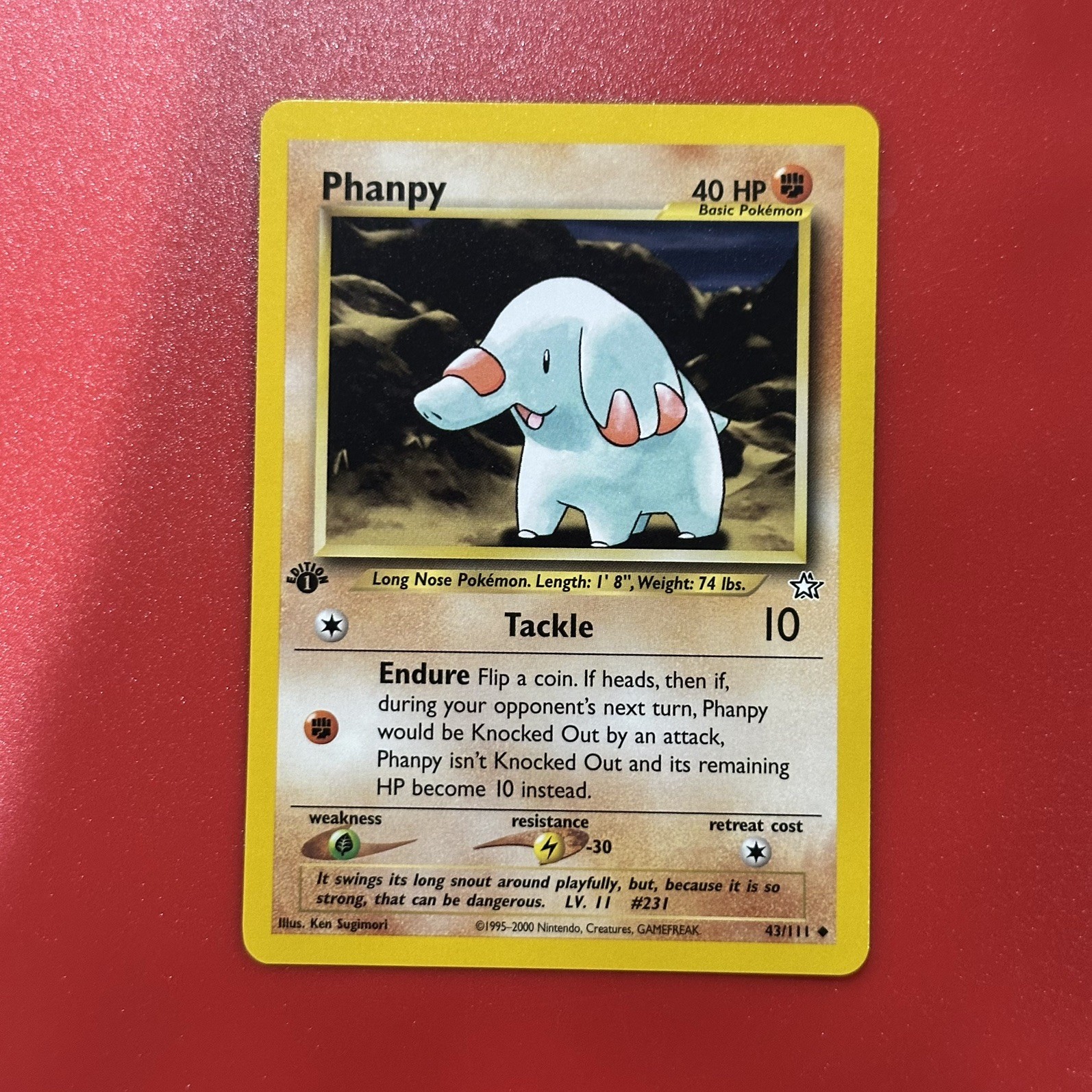 1st Edition Phanpy 43/111 - Neo Genesis - Pokémon NM