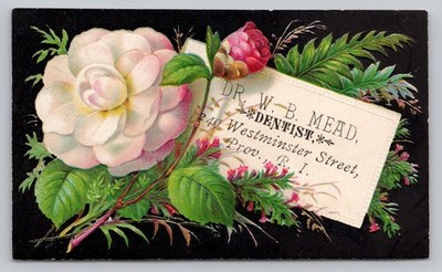 Victorian Dentist Trade Card Dr. W. B. Mead Providence RI Floral Embossed c.1880