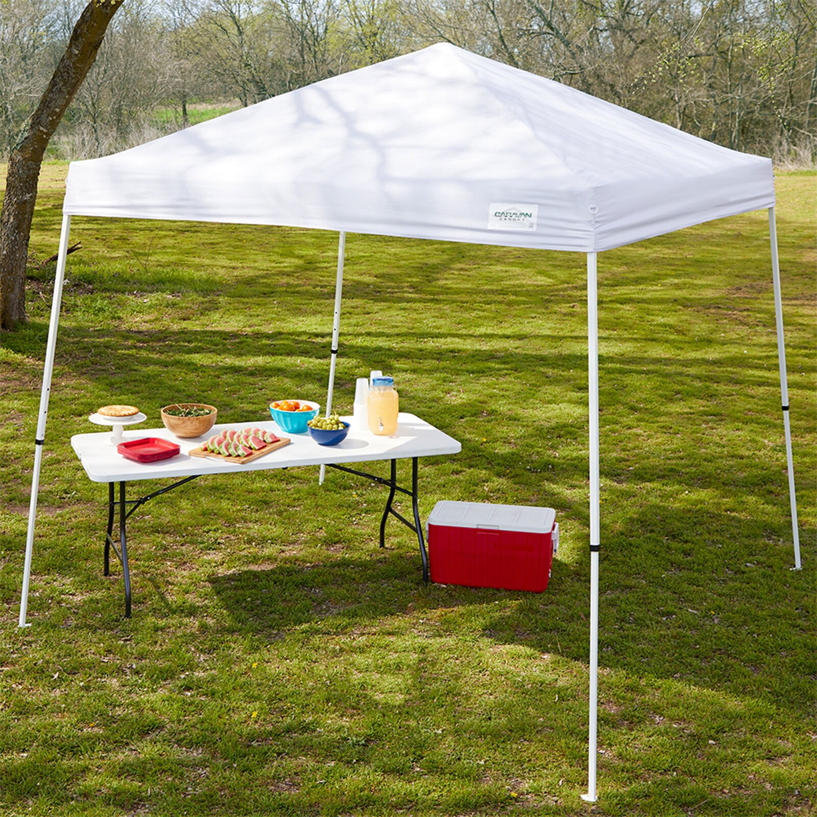 2 Instant 10' X 10' V-Series 2 Canopy Outdoor Sports UV Protection Camping Gear