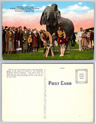 #ad Sarasota Florida Circus Elephant Performance Postcard $1.99