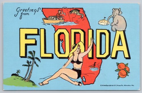 Greetings from Florida UNP Circus Elephant Bathing Beauty Fishing Fruit - Picture 1 of 2