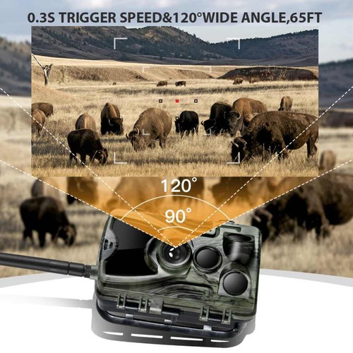 24MP 4G Wildkamera HC-801LTE Fotofalle Überwachungskamera Jagdkamera MMS EMAIL - Bild 3 von 5