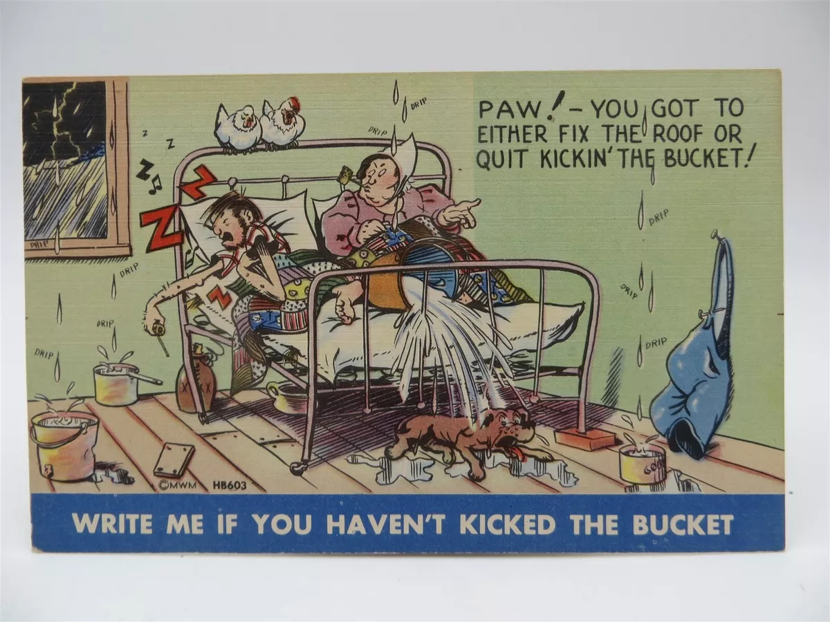 Vintage Postcard - Cartoon Humor - Write If You Haven't Kicked