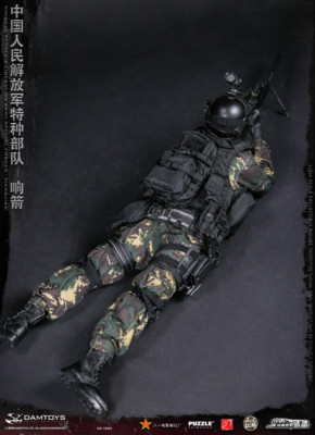 1/6 Dam Toys 78048 Chinese People's Liberation Army Special Forces