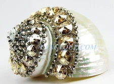 THORSON HOSIER MADE IN USA MOP LARGE SHELL MONETTE TURBO GOLDEN SWAROVSKI NEW 