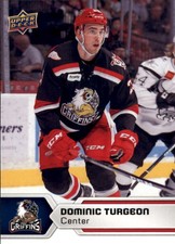 2017-18 Upper Deck AHL #62 Dominic Turgeon - HKY