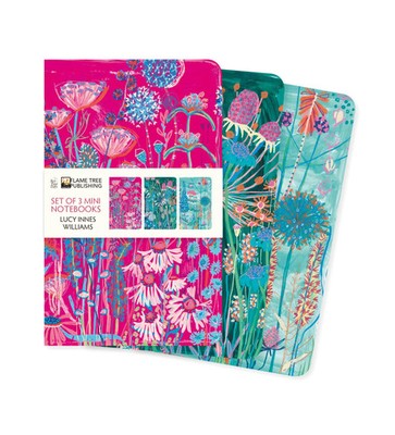 Lucy Innes Williams Set of 3 Mini Notebooks | Flame Tree Publishing | Englisch