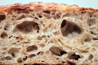 AUTHENTIC SAN FRANCISCO-WHARF-SOURDOUGH STARTER plus recipes @