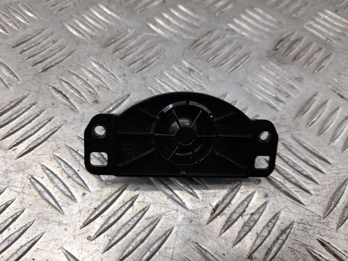 Panel speaker