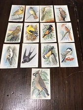 Useful Birds of America Trading Cards Arm & Hammer and Cow Brand Baking Soda