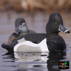 Avery Outdoors Ghg Life-Size Ring-Necked Duck Decoys - 1/2 Dozen