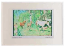 113012 Arabian Horses Mare With Foals A2 Picture Frame Watercolour print