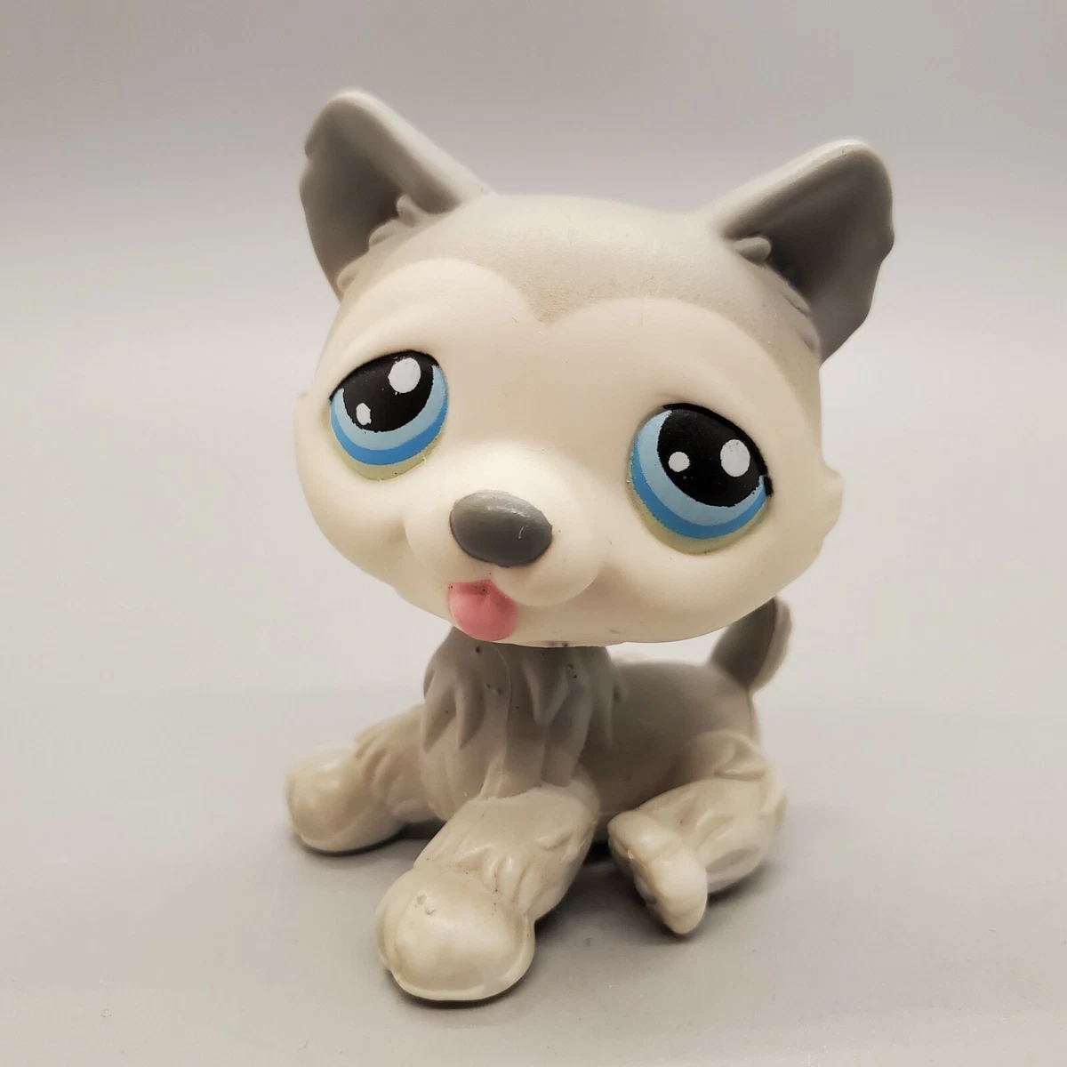 Husky hotsell dog shop