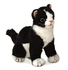 Koneko Black 16 No.6487 NEW