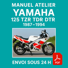 Manuel Atelier Yamaha 125 TZR TDR DTR 1987-1994 Revue Technique Moto RMT CD PDF