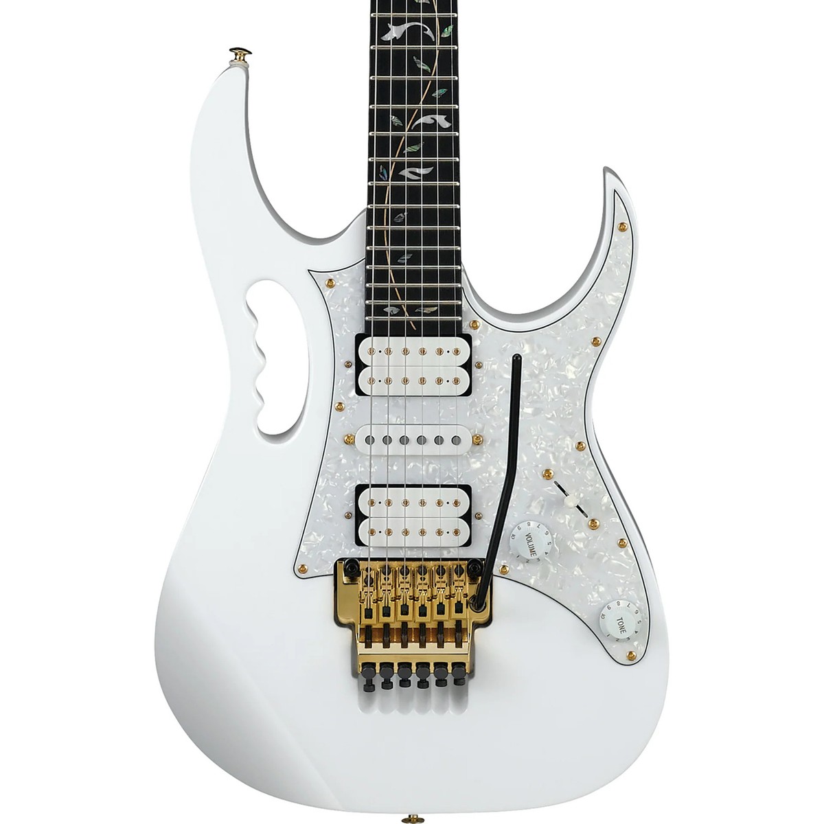 出ました！Ibanez Jemini Steve Vai Signature 出ました！Ibanez Jemini Steve Vai Signature Review Ibanez