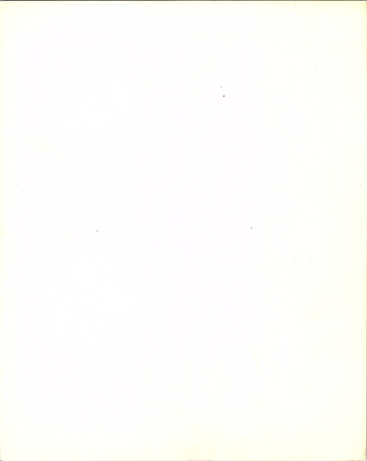 Foto 3 di 3