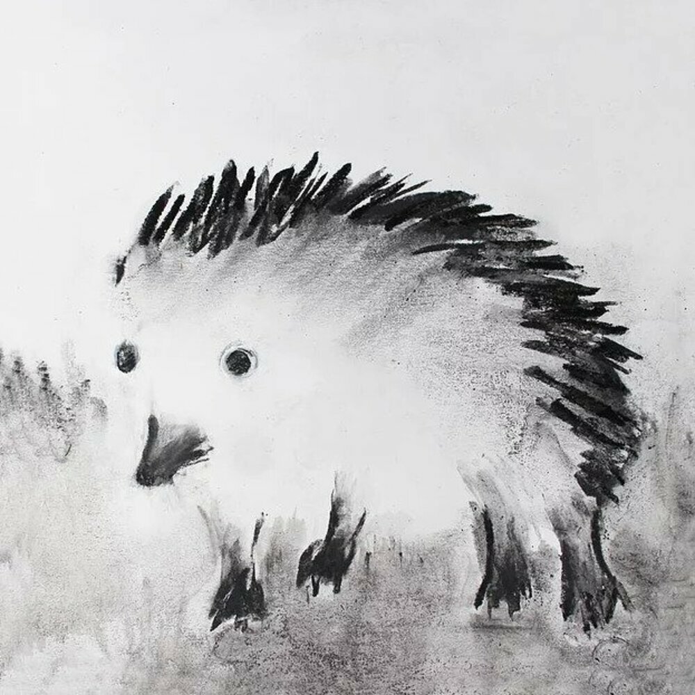 Hedgehog Blank Birthday Other Occasion Greeting Card Jane Faires Art