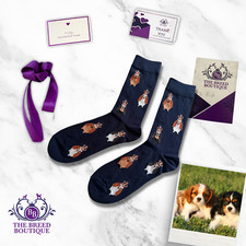 CAVALIER KING CHARLES SPANIEL CROWN FUN SOCKS UNISEX ONE SIZE FIT UK SIZE 5-11