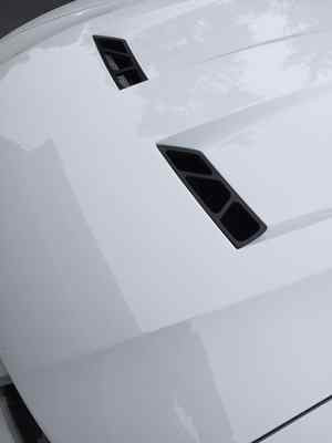 2003 2004 Ford Mustang Cobra SVT Terminator OEM Hood Heat Extractors Vents Grill for sale online