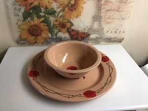 Vtg. MARBLE CANYON Enamelware Dinner Plate 10” And Cereal Bowl , Pre- Owned