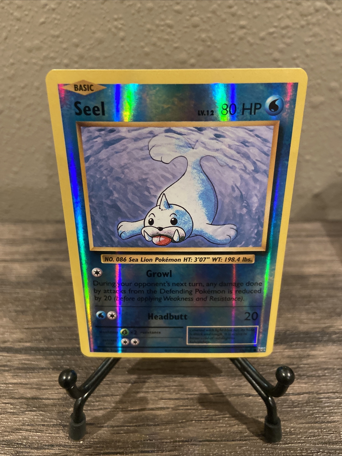 Pokémon TCG Seel XY Evolutions 28/108 Reverse Holo Common, NM!! eBay