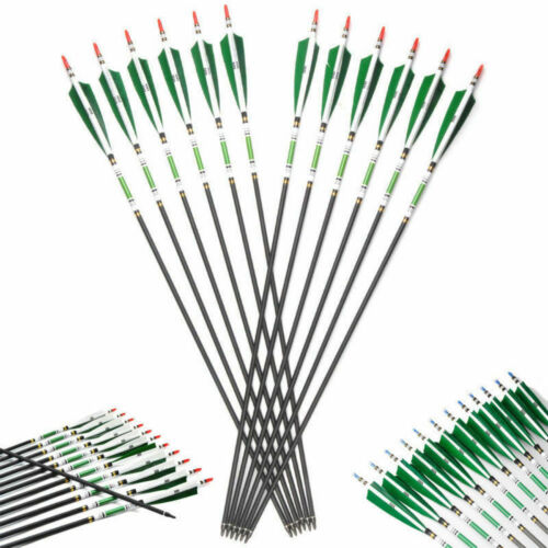 6Pcs 31''SP500 Carbon Arrows Real Turkey Feather Hides Hunting Shooting Archery - Picture 9 of 11
