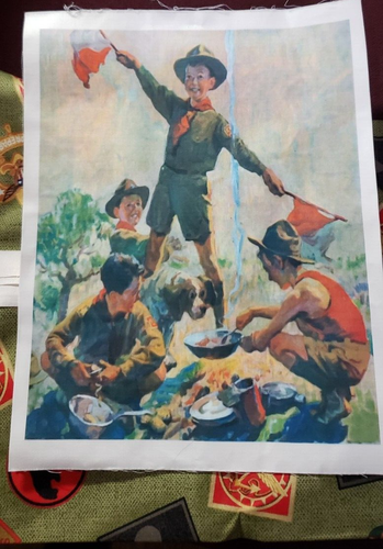 Boy Scouts BSA Scouting Sewing Fabric and Transfer Print Crafts Gift 1 Yard