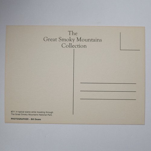 Mountain Foggy Great Smokey Mountains National Park Continental Chrome Postcard - Picture 4 of 6