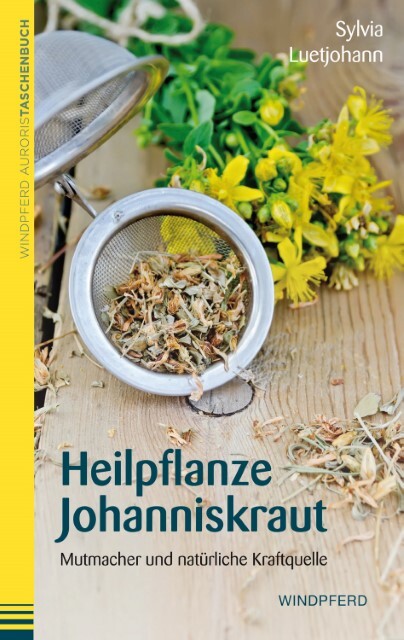 Thumbnail - Heilpflanze Johanniskraut
