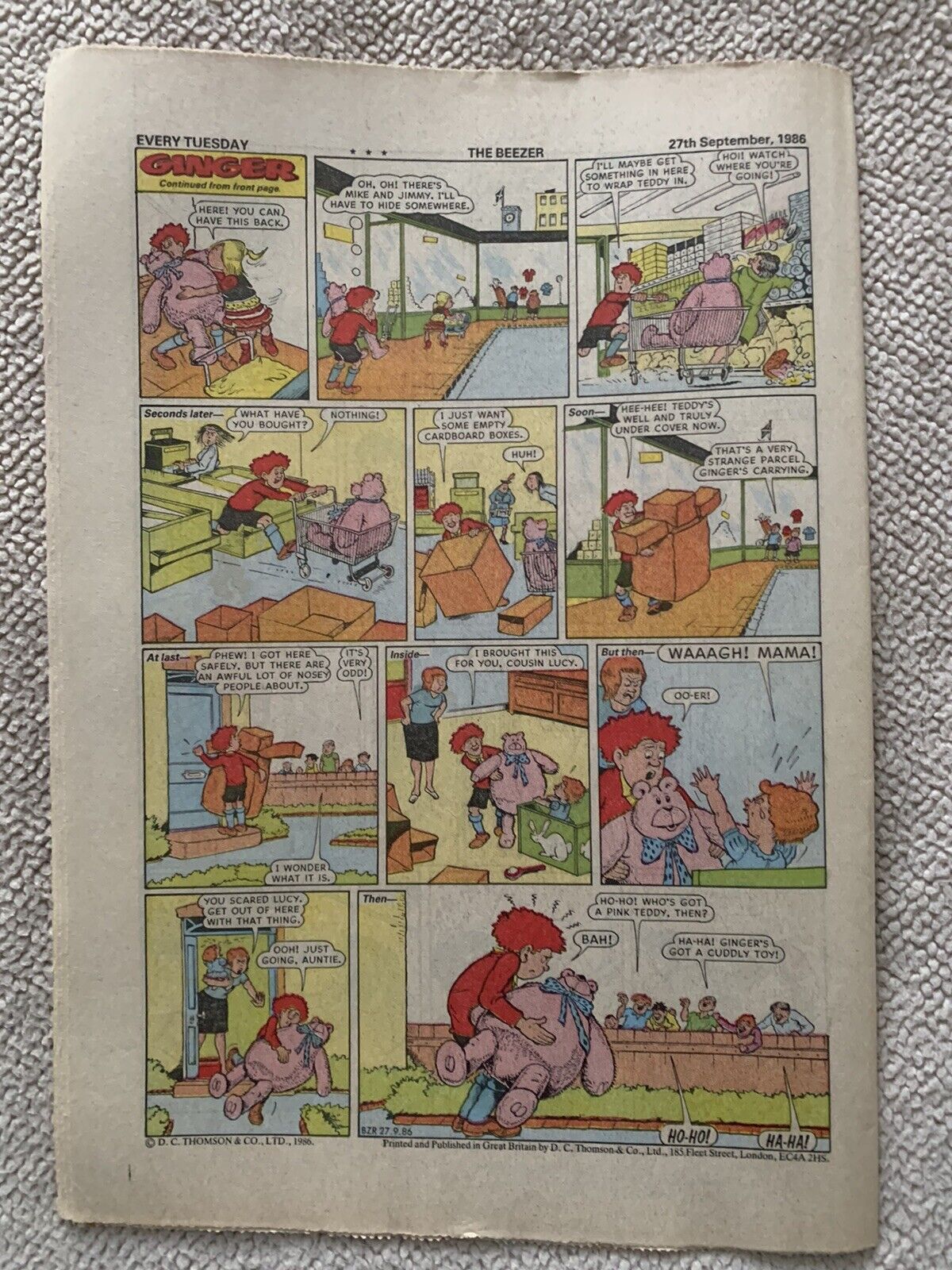 Foto 2 di 3