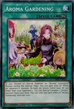 CHIM-DE059 AROMA GARDENING COMMON 1.AUFLAGE YuGiOh KARTE