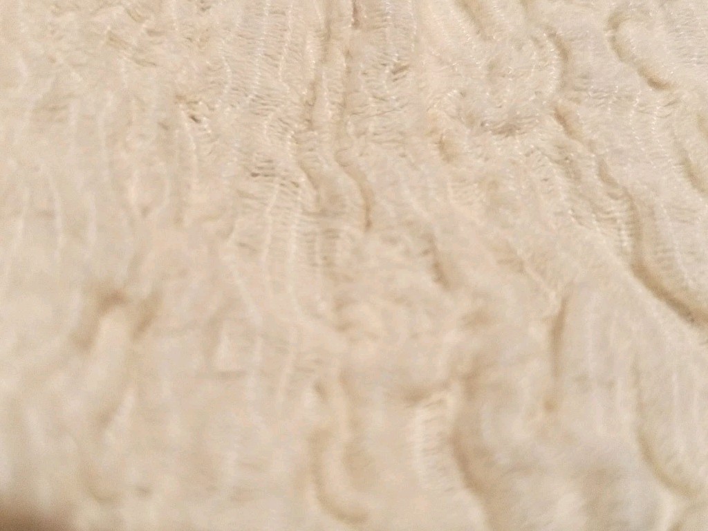 Zara Crop Top- textured, puffy sleeves, off-the-shoulder, Ivory/Cream, Size S thumbnail 10