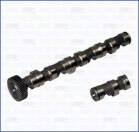 Ajusa Nockenwelle 93157400 FüR Audi A6 C5 4B2 4B4 Avant 4B5 4B6 A8 D2 4D2 4D8 A4